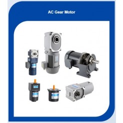 AC GEAR MOTOR